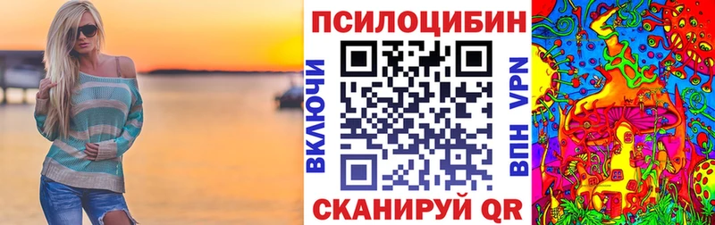 Галлюциногенные грибы Cubensis  купить  сайты  Гусев 
